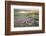 Giant Anaconda (Eunectes Murinus) Hato El Cedral, Llanos, Venezuela-Christophe Courteau-Framed Photographic Print