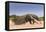 Giant Anteater (Myrmecophaga Tridactyla) Walking In Habitat, Hato El Cedral. Llanos, Venezuela-Christophe Courteau-Framed Premier Image Canvas