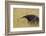 Giant anteater, Serra de Canastra National Park, Brazil-Suzi Eszterhas-Framed Photographic Print