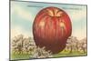 Giant Apple, Shenandoah Valley-null-Mounted Art Print