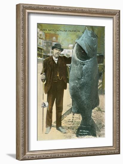 Giant Black Bass, Catalina Island-null-Framed Art Print