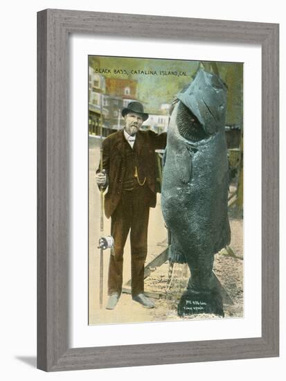 Giant Black Bass, Catalina Island-null-Framed Art Print