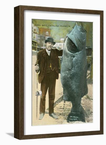 Giant Black Bass, Catalina Island-null-Framed Art Print