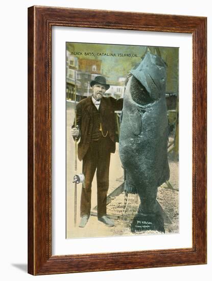 Giant Black Bass, Catalina Island-null-Framed Art Print