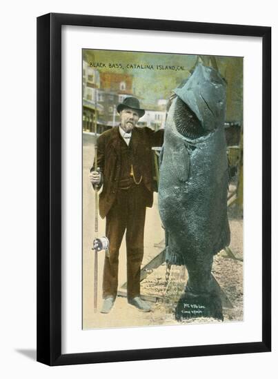 Giant Black Bass, Catalina Island-null-Framed Art Print