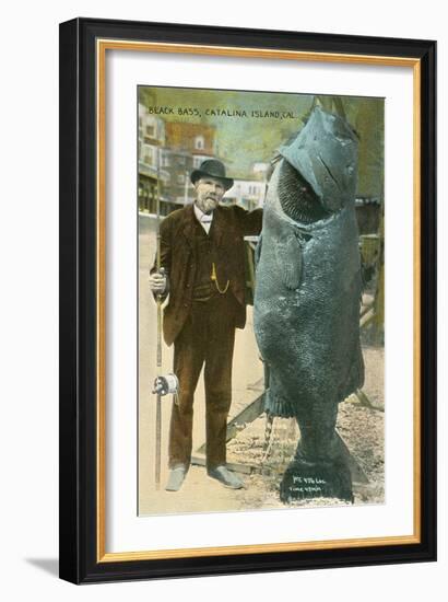 Giant Black Bass, Catalina Island-null-Framed Art Print