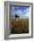 Giant Bull, Toros de Osborne, Andalucia, Spain-Gavin Hellier-Framed Photographic Print