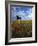 Giant Bull, Toros de Osborne, Andalucia, Spain-Gavin Hellier-Framed Photographic Print