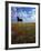 Giant Bull, Toros de Osborne, Andalucia, Spain-Gavin Hellier-Framed Photographic Print