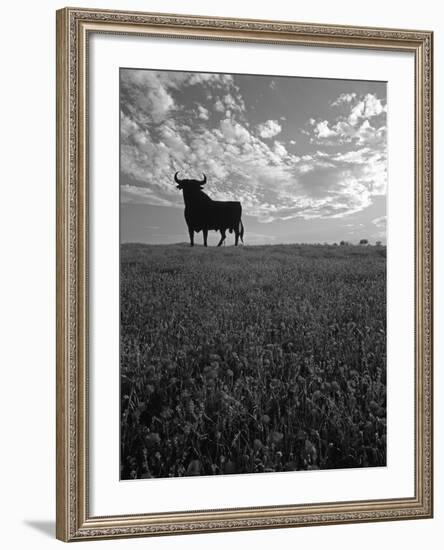 Giant Bull, Toros de Osborne, Andalucia, Spain-Gavin Hellier-Framed Photographic Print