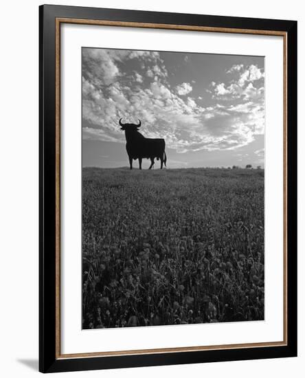 Giant Bull, Toros de Osborne, Andalucia, Spain-Gavin Hellier-Framed Photographic Print