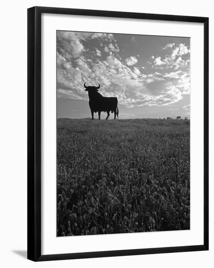 Giant Bull, Toros de Osborne, Andalucia, Spain-Gavin Hellier-Framed Photographic Print