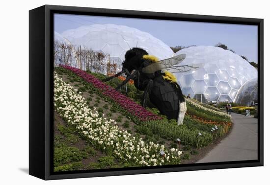 Giant Bumble Bee Sculpture, Eden Project, Near St Austell, Cornwall-Peter Thompson-Framed Premier Image Canvas