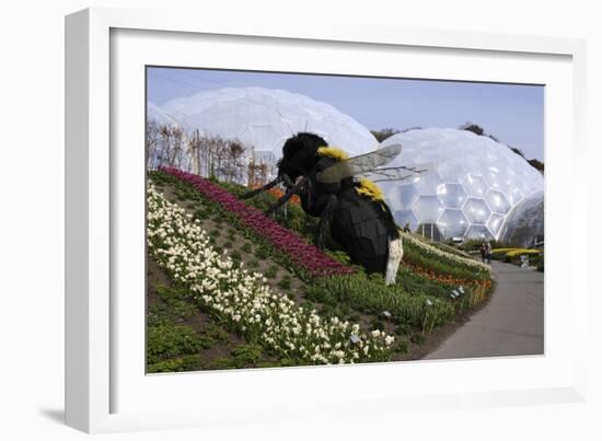 Giant Bumble Bee Sculpture, Eden Project, Near St Austell, Cornwall-Peter Thompson-Framed Photographic Print