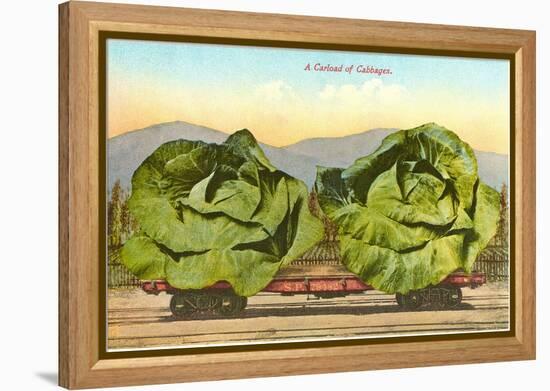Giant Cabbages on Flatbed-null-Framed Stretched Canvas