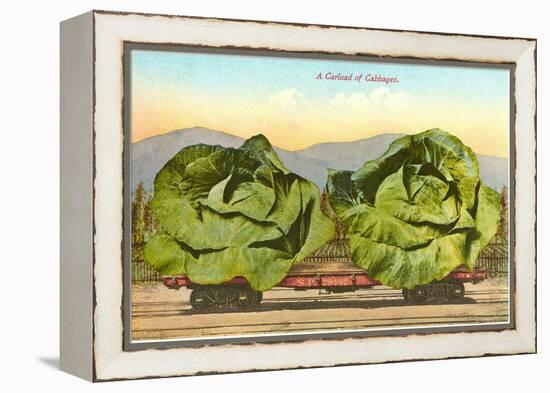 Giant Cabbages on Flatbed-null-Framed Stretched Canvas