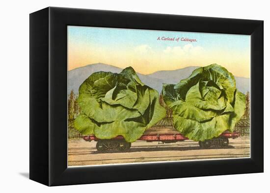 Giant Cabbages on Flatbed-null-Framed Stretched Canvas