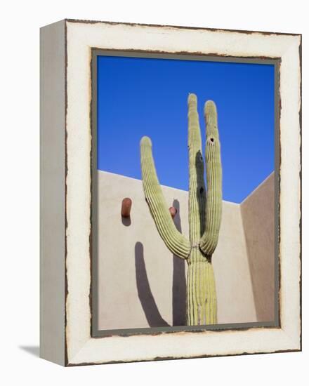 Giant Cactus, Scottsdale, Arizona, USA. North America-Gavin Hellier-Framed Premier Image Canvas