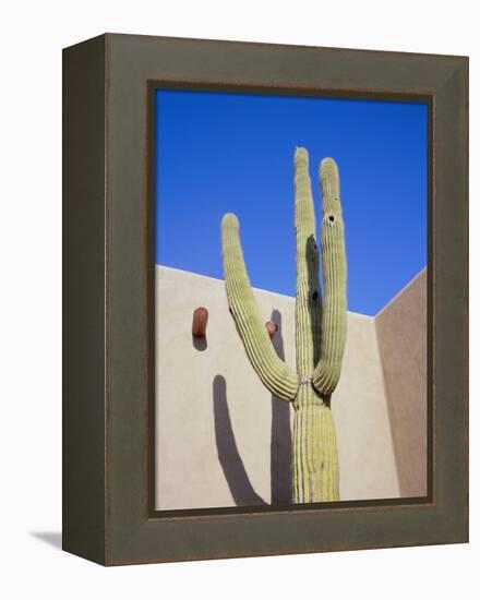 Giant Cactus, Scottsdale, Arizona, USA. North America-Gavin Hellier-Framed Premier Image Canvas