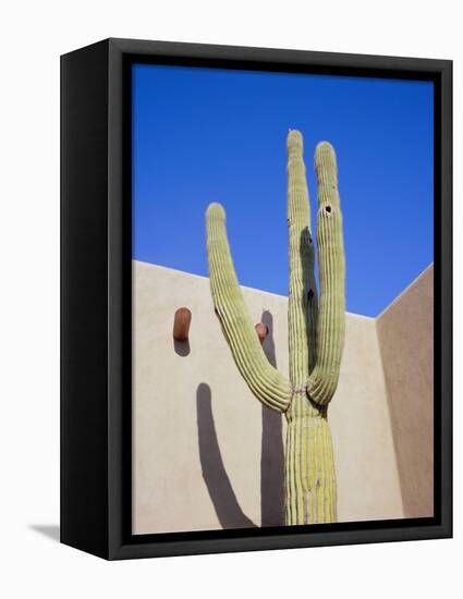 Giant Cactus, Scottsdale, Arizona, USA. North America-Gavin Hellier-Framed Premier Image Canvas