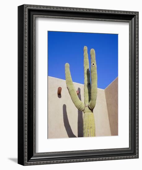 Giant Cactus, Scottsdale, Arizona, USA. North America-Gavin Hellier-Framed Photographic Print