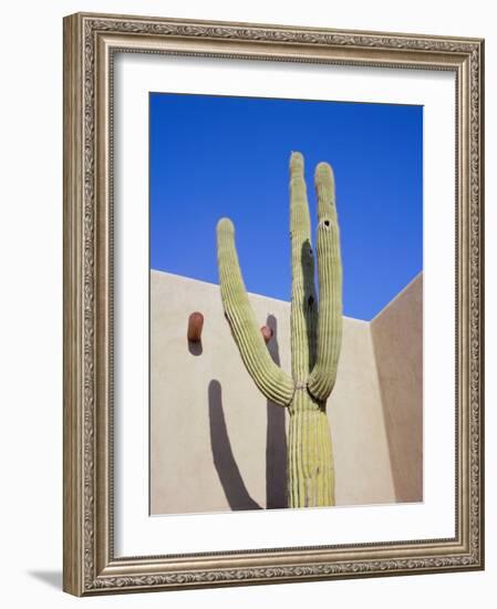 Giant Cactus, Scottsdale, Arizona, USA. North America-Gavin Hellier-Framed Photographic Print