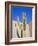 Giant Cactus, Scottsdale, Arizona, USA. North America-Gavin Hellier-Framed Photographic Print