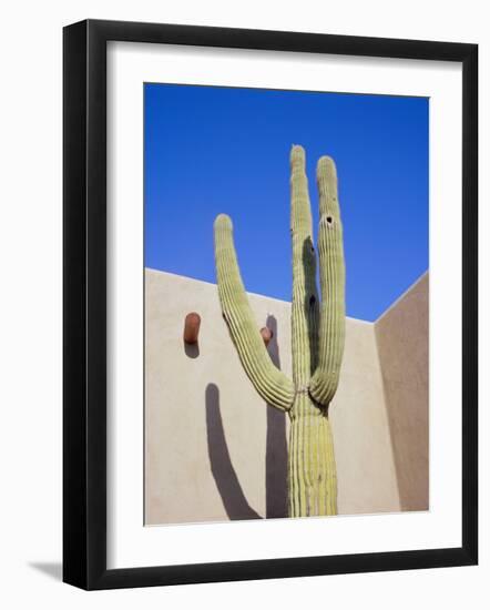 Giant Cactus, Scottsdale, Arizona, USA. North America-Gavin Hellier-Framed Photographic Print