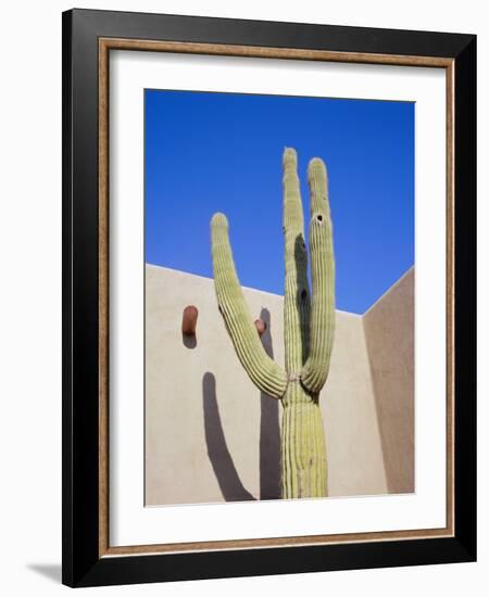 Giant Cactus, Scottsdale, Arizona, USA. North America-Gavin Hellier-Framed Photographic Print