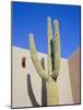 Giant Cactus, Scottsdale, Arizona, USA. North America-Gavin Hellier-Mounted Photographic Print