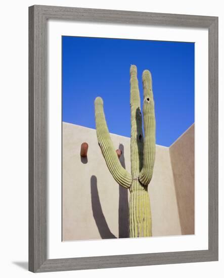 Giant Cactus, Scottsdale, Arizona, USA. North America-Gavin Hellier-Framed Photographic Print