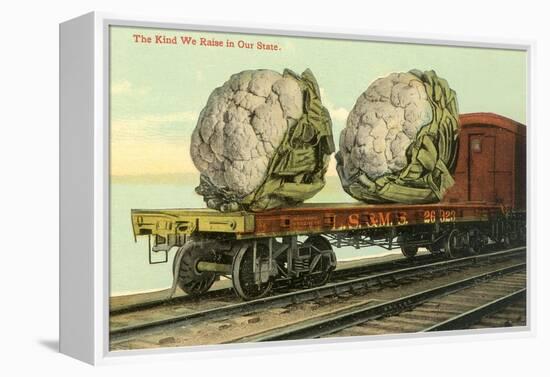 Giant Cauliflower on Flatbed-null-Framed Stretched Canvas