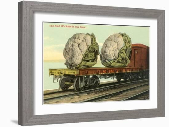 Giant Cauliflower on Flatbed-null-Framed Art Print