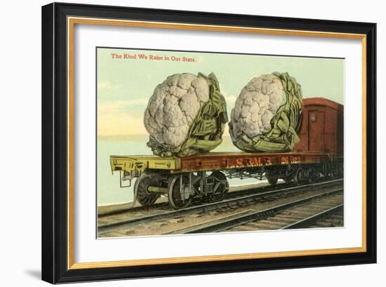 Giant Cauliflower on Flatbed-null-Framed Art Print