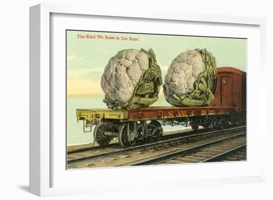 Giant Cauliflower on Flatbed-null-Framed Premium Giclee Print