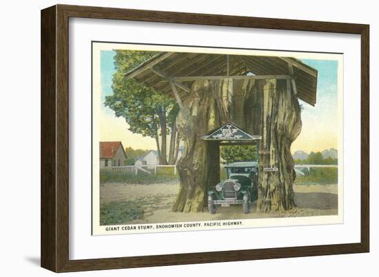 Giant Cedar Stump, Pacific Highway, Washington-null-Framed Art Print