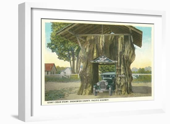 Giant Cedar Stump, Pacific Highway, Washington-null-Framed Art Print