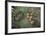 Giant Clam Farm-Reinhard Dirscherl-Framed Photographic Print