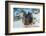 Giant Clam (Tridacna Squamosa)-Reinhard Dirscherl-Framed Photographic Print