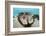 Giant Clam (Tridacna Squamosa)-Reinhard Dirscherl-Framed Photographic Print