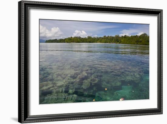 Giant Clams in the Clear Waters of the Marovo Lagoon, Solomon Islands, Pacific-Michael Runkel-Framed Photographic Print