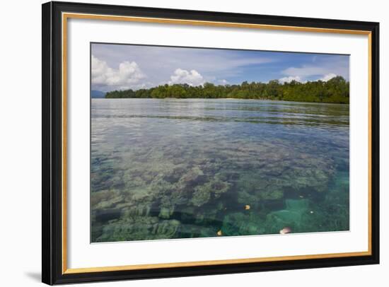 Giant Clams in the Clear Waters of the Marovo Lagoon, Solomon Islands, Pacific-Michael Runkel-Framed Photographic Print