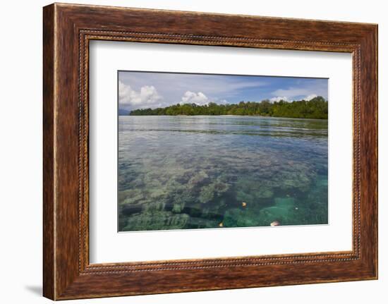 Giant Clams in the Clear Waters of the Marovo Lagoon, Solomon Islands, Pacific-Michael Runkel-Framed Photographic Print