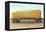 Giant Corn Cob on Flatbed, Washington-null-Framed Stretched Canvas