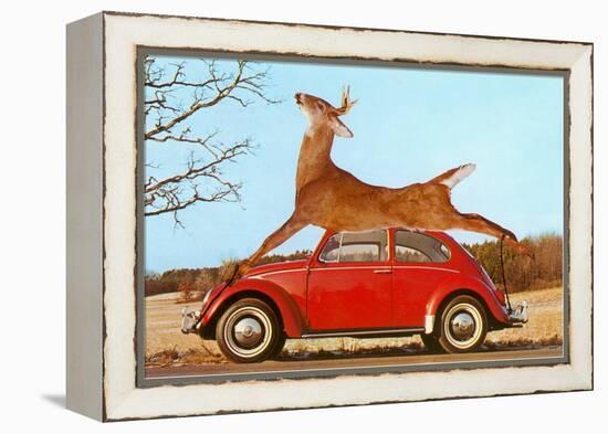 Giant Deer Tied on Volkswagen-null-Framed Stretched Canvas