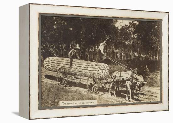 Giant Ear of Corn Pulled by Horse Cart-null-Framed Stretched Canvas