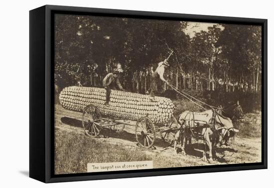 Giant Ear of Corn Pulled by Horse Cart-null-Framed Stretched Canvas