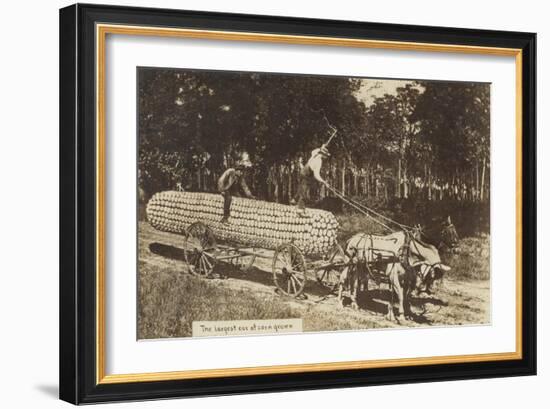 Giant Ear of Corn Pulled by Horse Cart-null-Framed Art Print