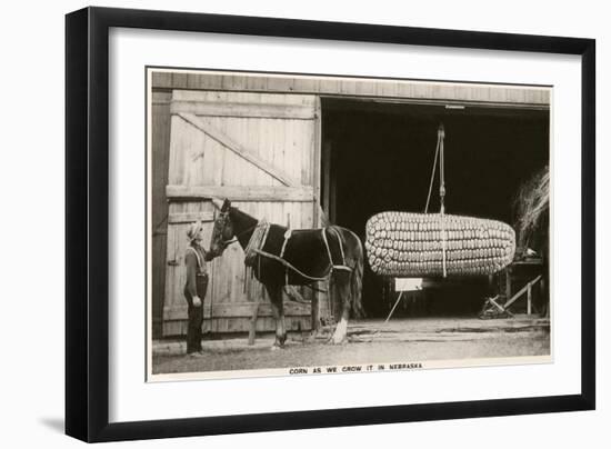 Giant Ear of Corn with Plow Horse, Nebraska-null-Framed Premium Giclee Print