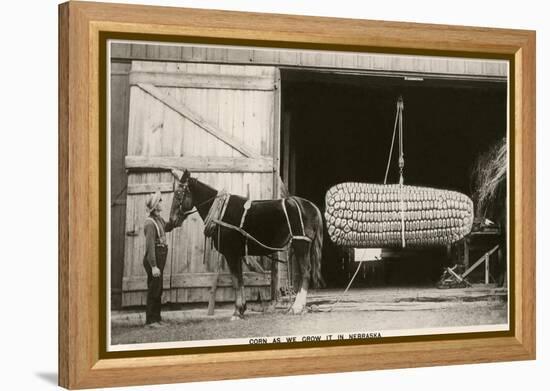 Giant Ear of Corn with Plow Horse, Nebraska-null-Framed Stretched Canvas